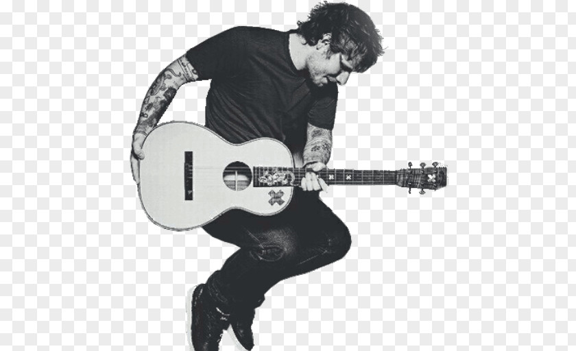 Guitar Musician Divide Supermarket Flowers PNG