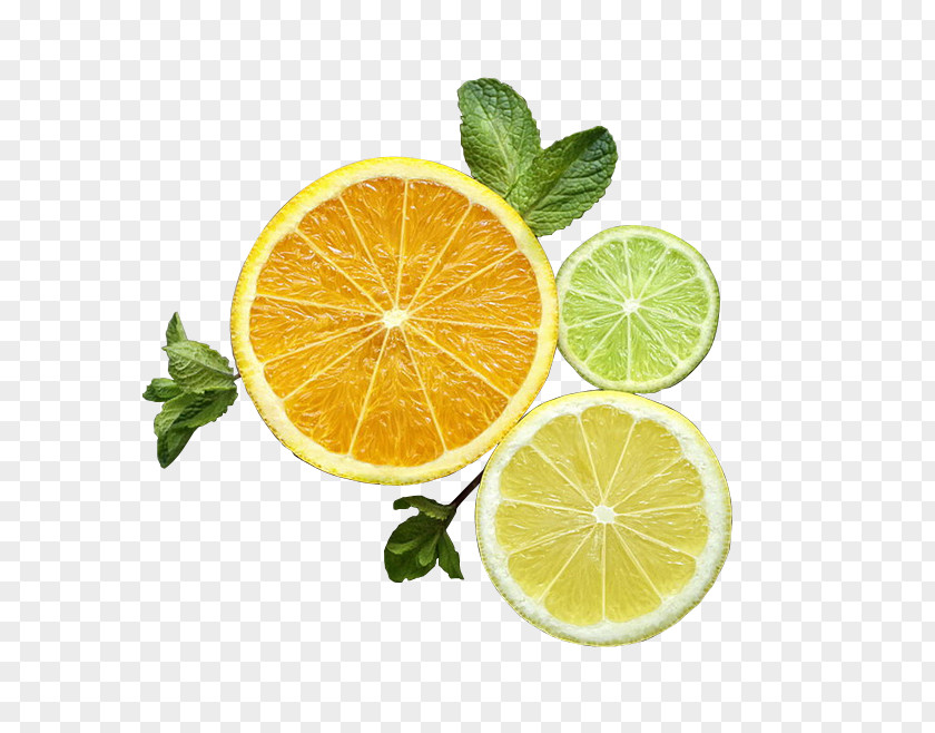 Lemon Slice Material Lemon-lime Drink Key Lime Rangpur PNG