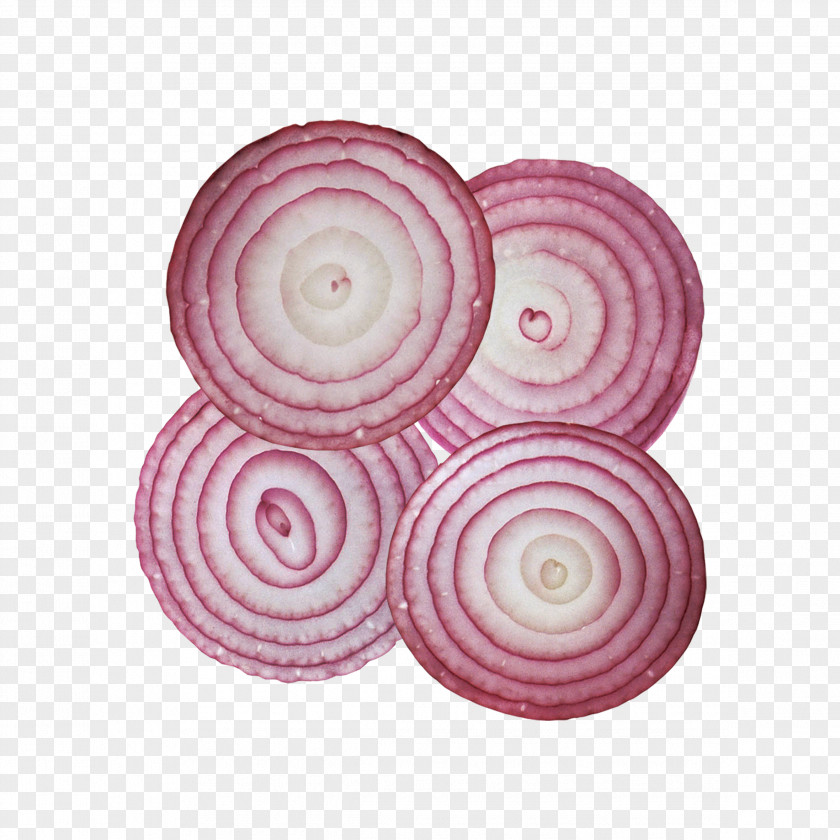 Onion Slices Ring Hamburger Computer File PNG