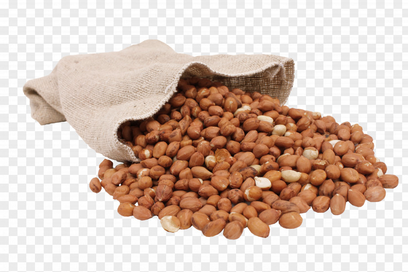 Planters Peanut Vegetarian Cuisine Bean Food PNG