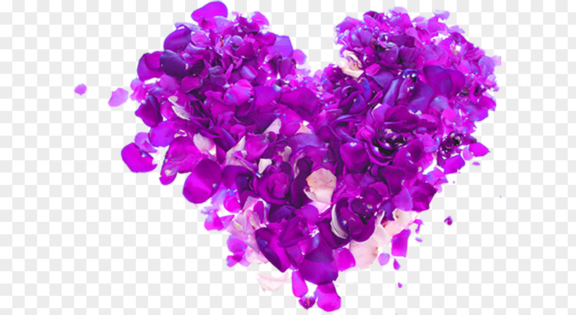 Purple Heart Rose Element Valentines Day Beauty Parlour Spa Gift Hotel PNG