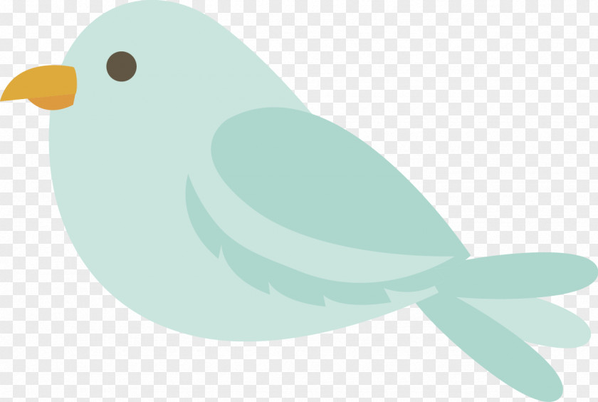 Bird Beak Clip Art Water Marine Mammal PNG