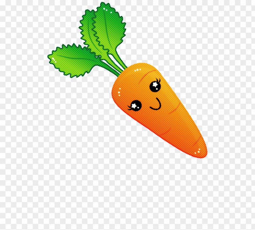 Carrot Vegetable Leaf Plant Root PNG