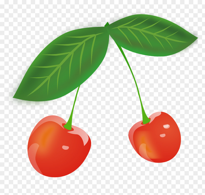Cherry Sour Fruit Clip Art PNG