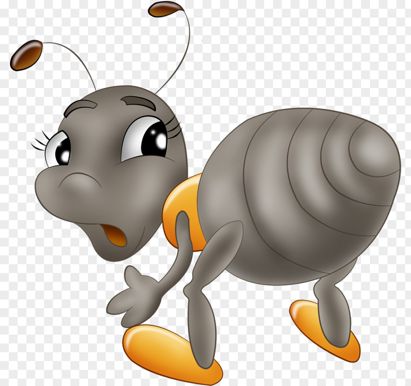 Insect Drawing Ant Clip Art PNG