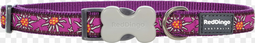 Red Collar Dog Body Jewellery Brand Font PNG