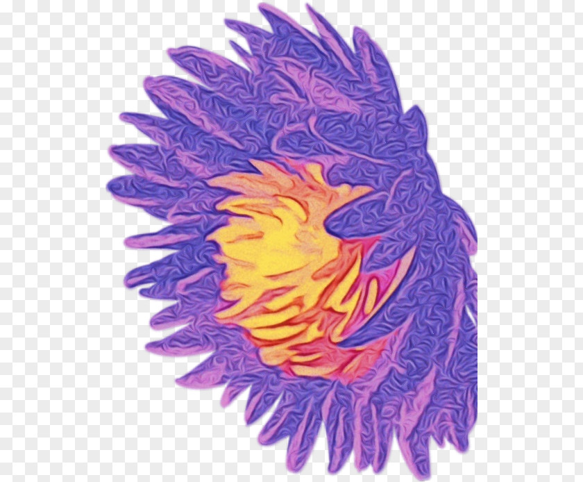 Wing Flower Feather PNG