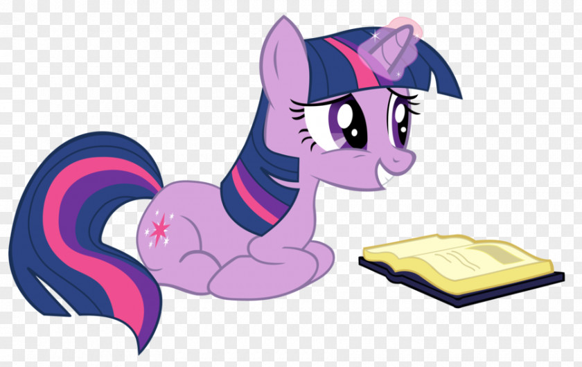 Adorkable Twilight Sparkle My Little Pony The Saga PNG