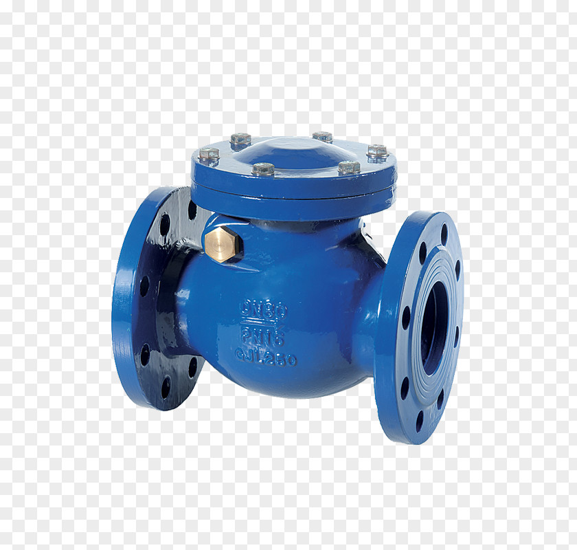 Double Check Valve Flange Ball Nominal Pipe Size PNG