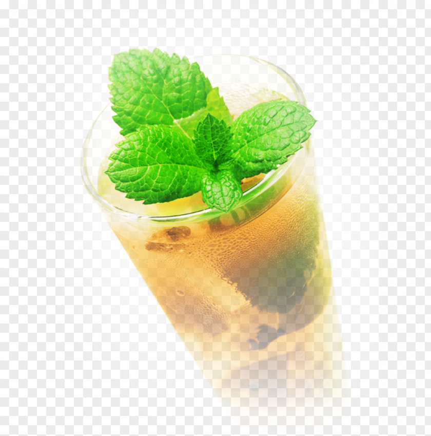Mojito Mint Julep Cocktail Mai Tai Brandy PNG