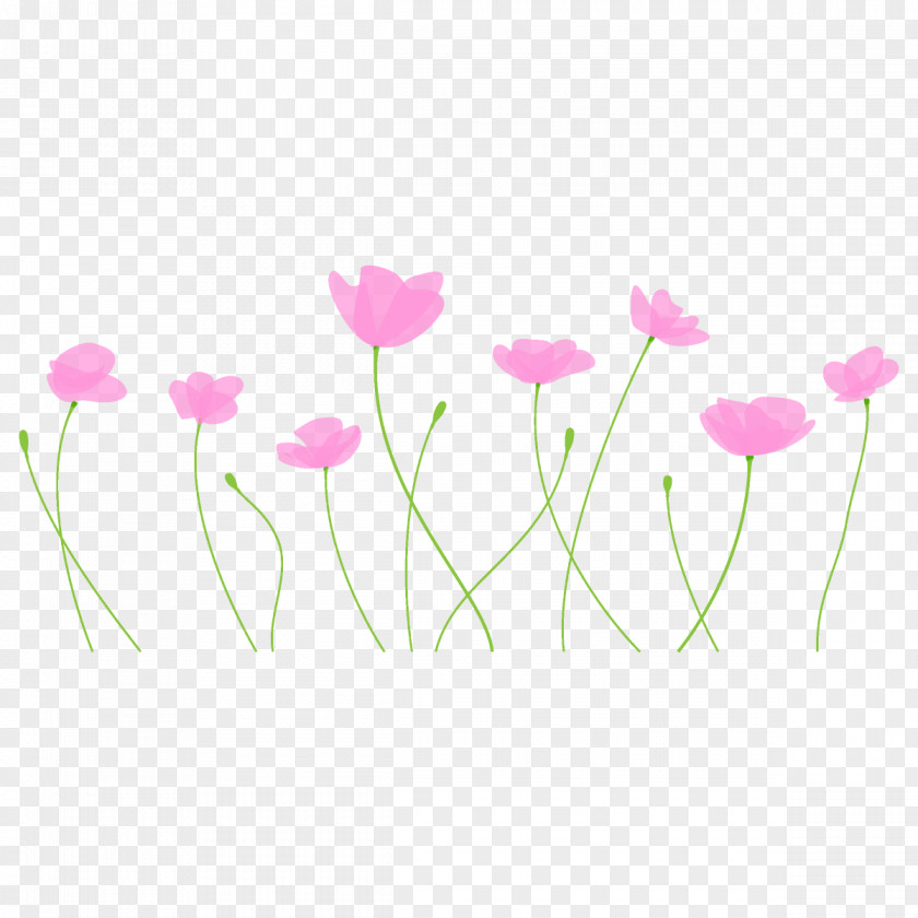 Poppy Flower PNG