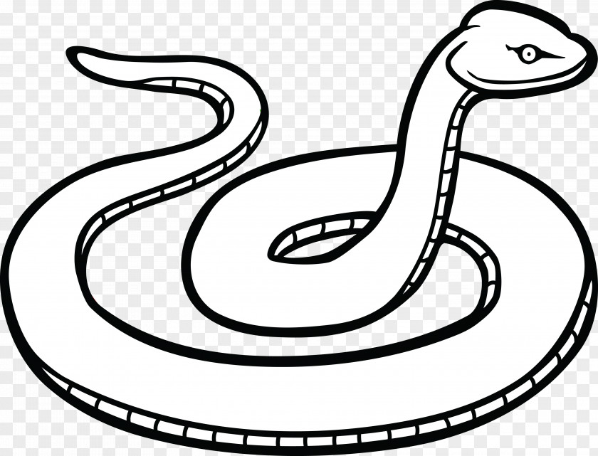 Snake Black Mamba Drawing Reptile Clip Art PNG