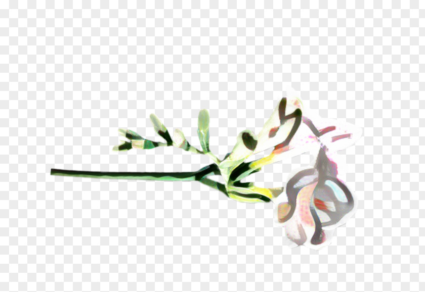 Twig Branch Flowers Background PNG
