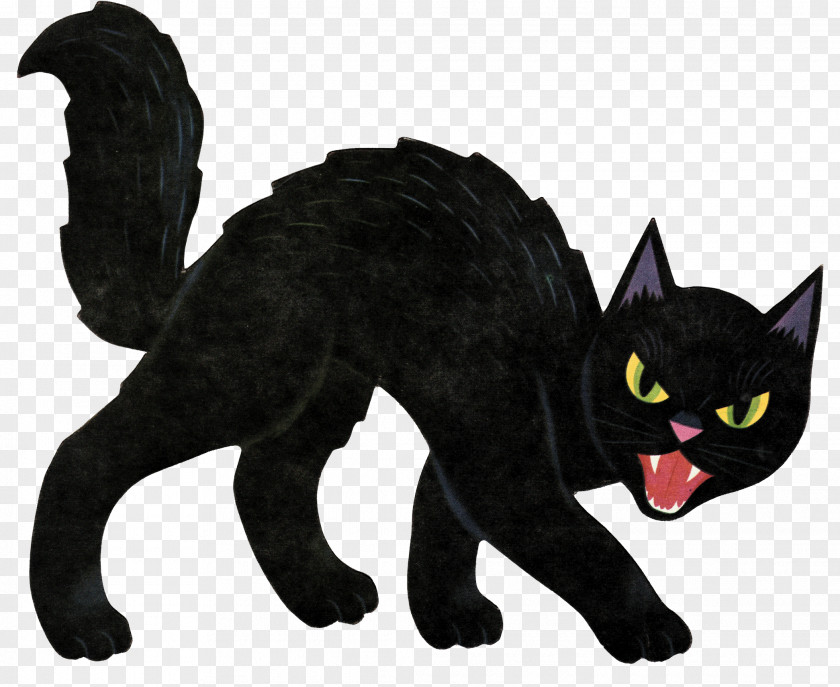 Witch Cat Black Halloween Kitten Clip Art PNG