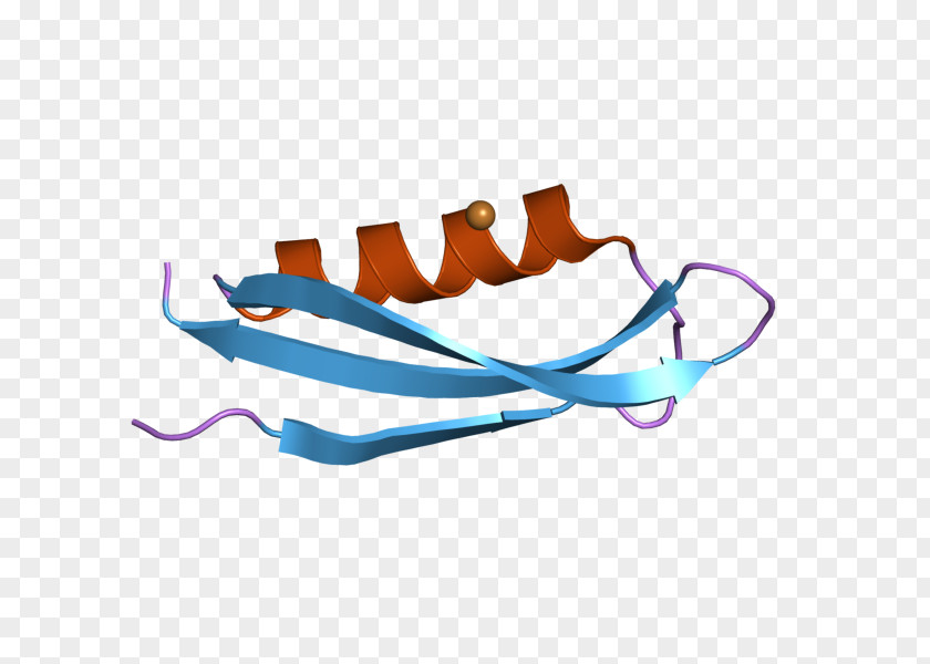 Amyloid Precursor Protein Integral Membrane Synapse PNG