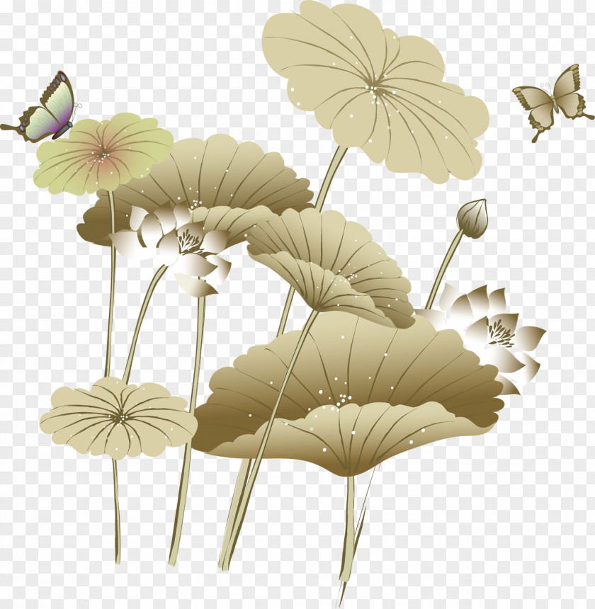 Chinese Painting Lotus Nelumbo Nucifera Effect PNG