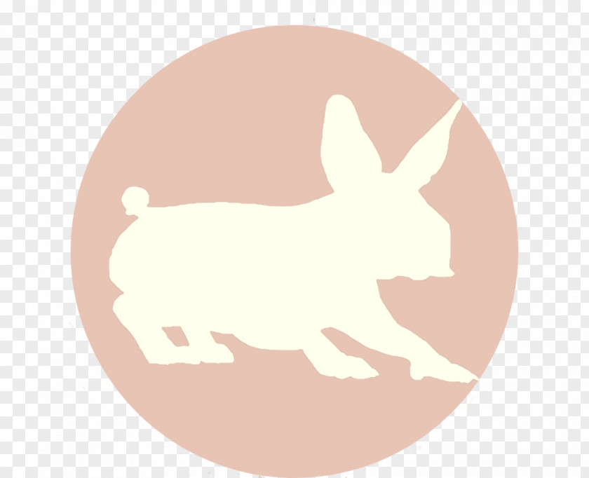 Dog Hare Easter Bunny Rabbit PNG