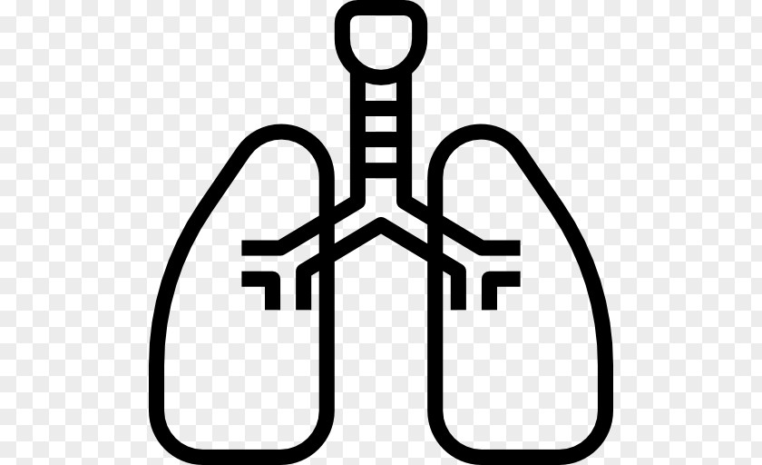 Health Breathing Lung Heart Circulatory System PNG