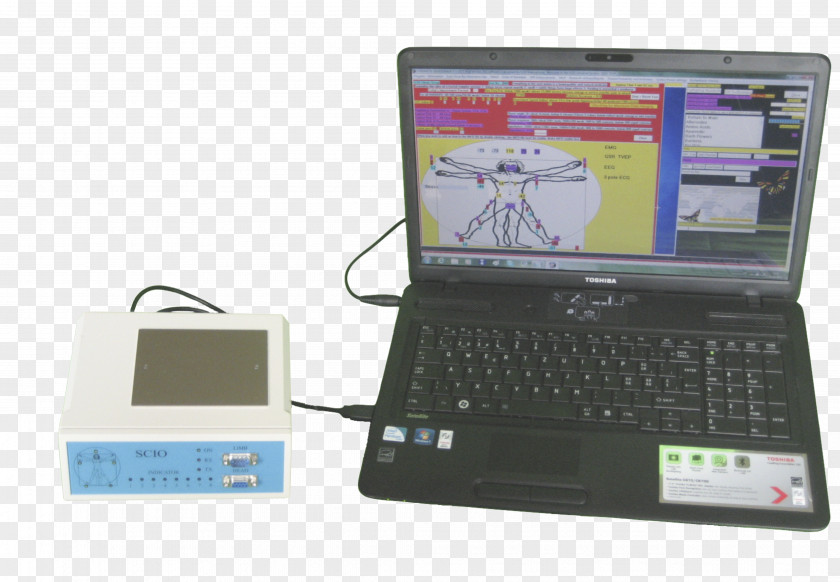 Laptop Netbook Computer Hardware Display Device Input Devices PNG
