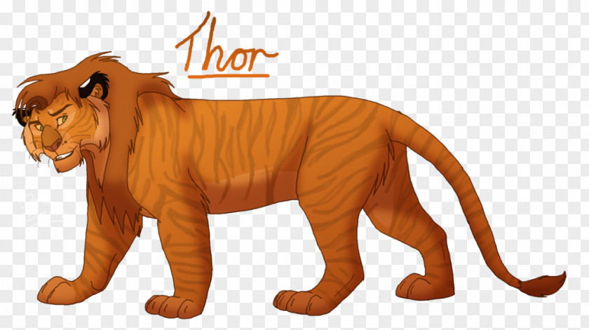 Lion Tiger Liger Drawing Art PNG