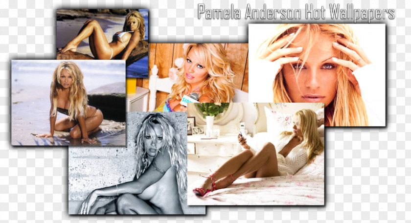 Pamela Anderson Blond Collage Human Behavior Photomontage Poster PNG