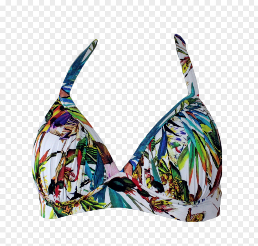 Biquini Swimsuit PNG