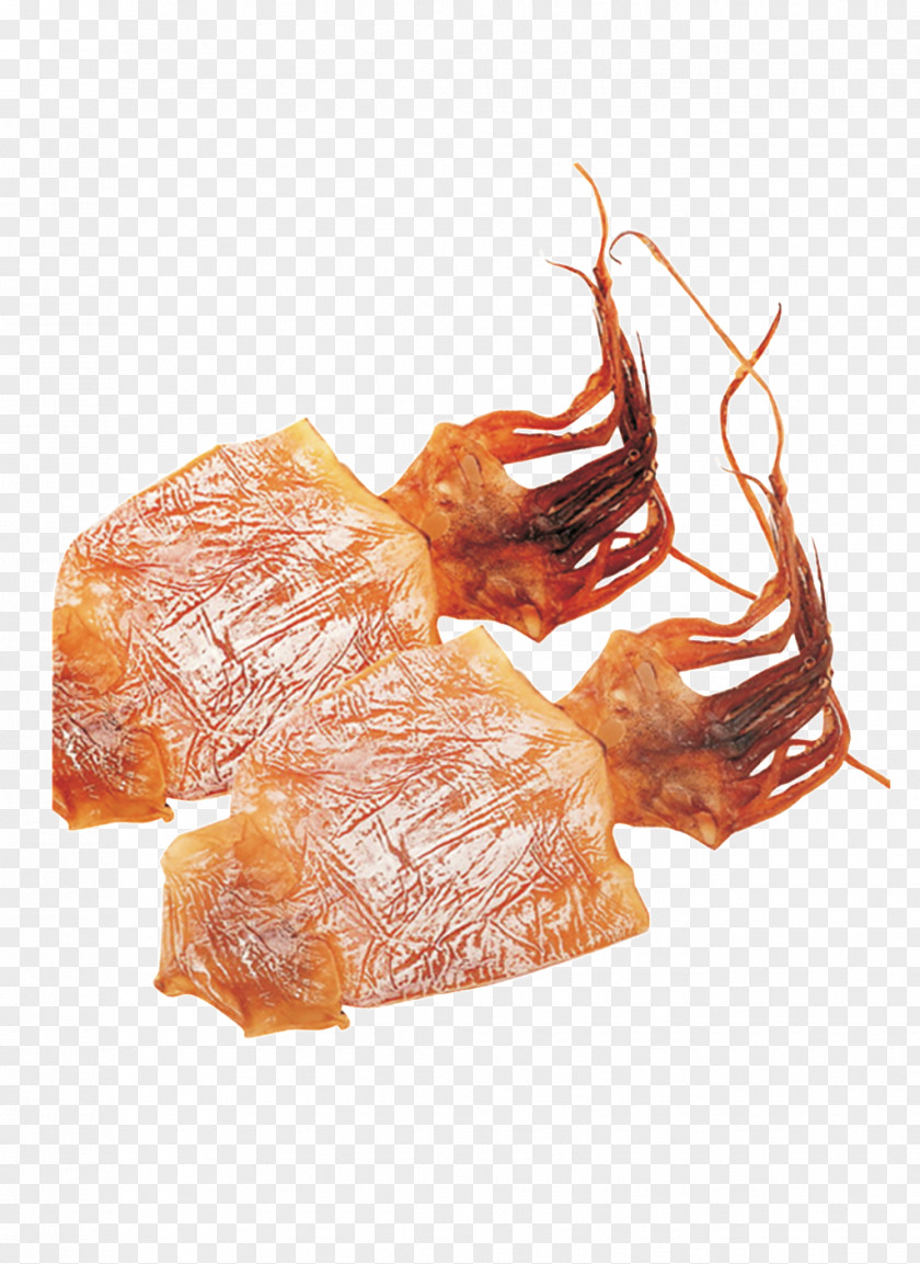 Calamar Symbol Bayonne Ham Curing Salt-cured Meat Pork Seafood PNG
