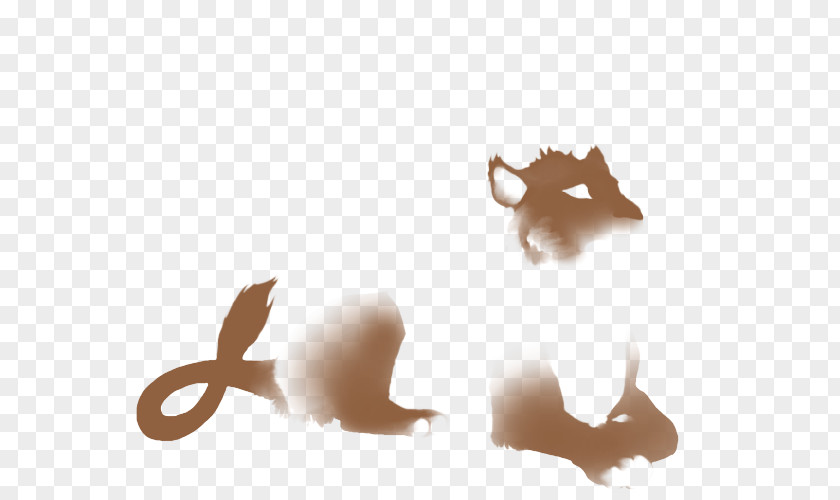 Cat Dog Kitten Mammal Snout PNG