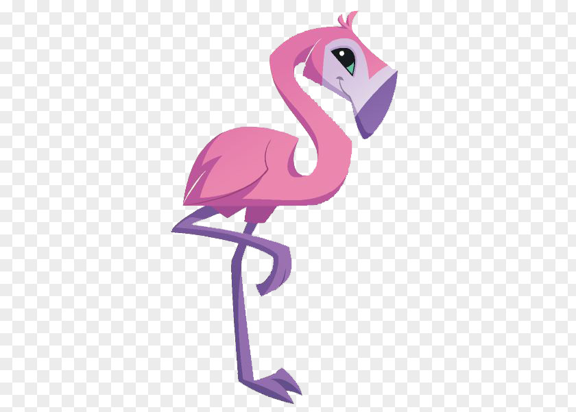 Flamingo National Geographic Animal Jam Bird Clip Art PNG