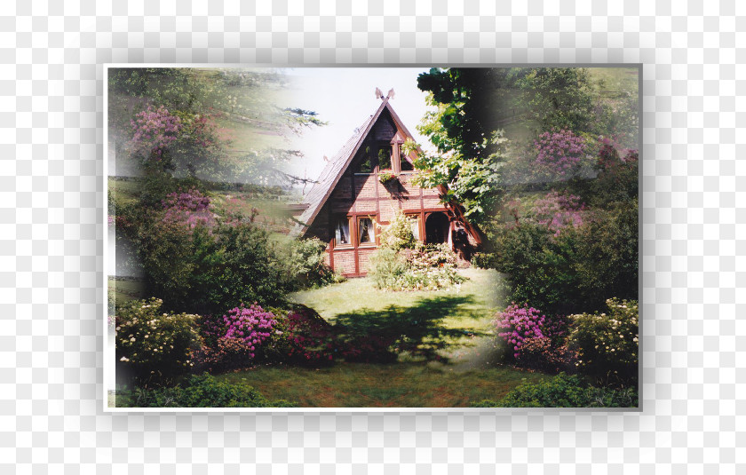 Painting Landscape Nature Picture Frames Lilac PNG