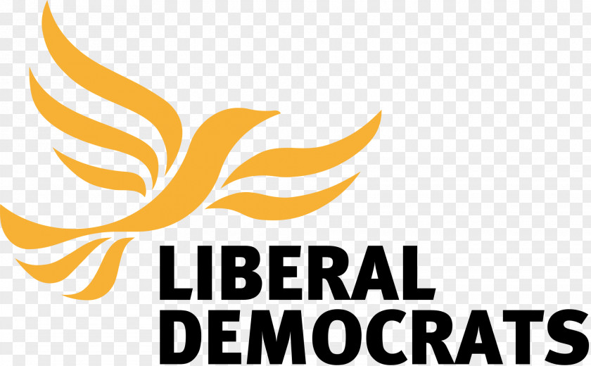 Party And Government Conference Liberal Democrats United Kingdom Election Political Member Of Parliament PNG