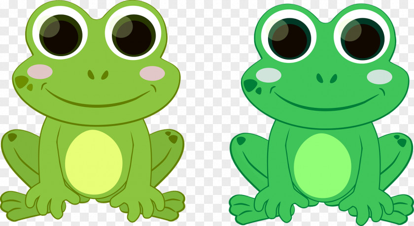 True Frog Tree Toad European Green PNG frog toad green toad, clipart PNG