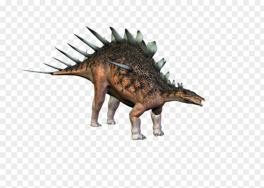 Dinosaurs Tyrannosaurus Ankylosaurus Minmi Dinosaur Allosaurus PNG