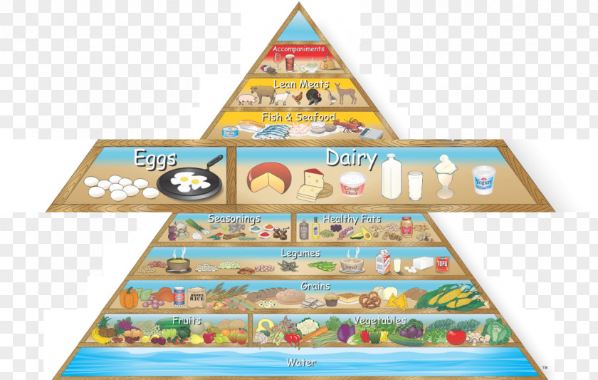 Health Food Pyramid Nutrition PNG