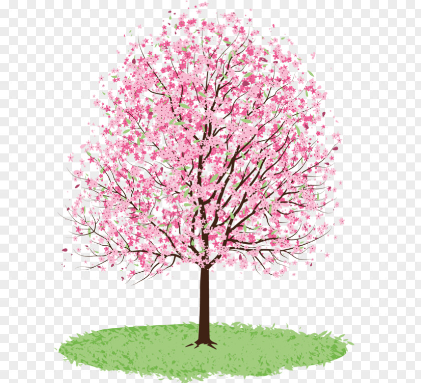 Spring Trees Cliparts Tree Cherry Blossom Clip Art PNG