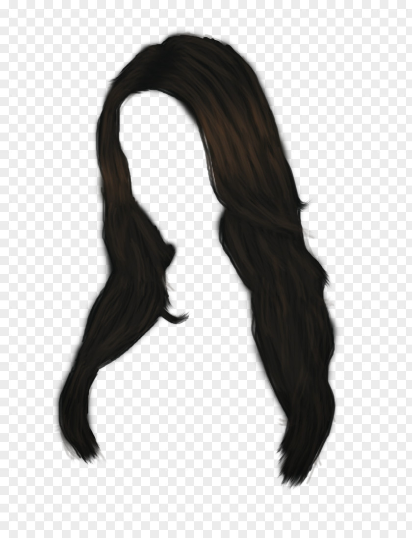 Women Hair Image Black Brown Clip Art PNG