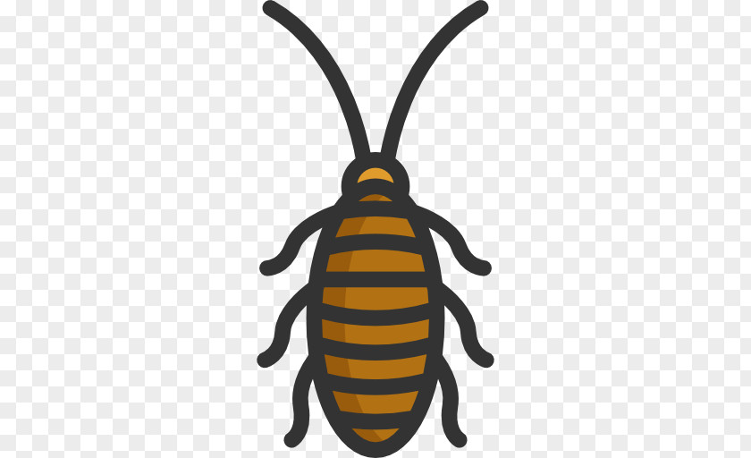 Cockroach Insect Honey Bee Pest Control PNG