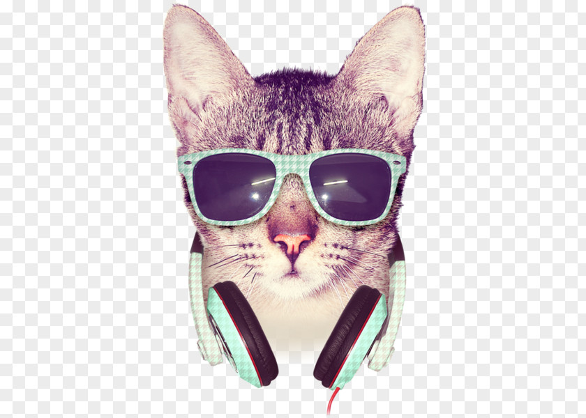 Cool Cats Cat T-shirt Kitten Design By Humans PNG