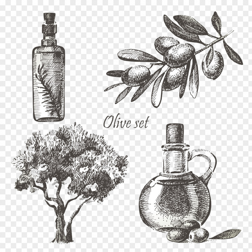 Hand-painted Olive Oil Stock Photography Illustration PNG