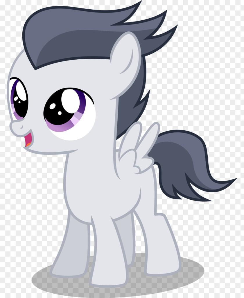 Horse Pony Rarity Pinkie Pie Rainbow Dash PNG