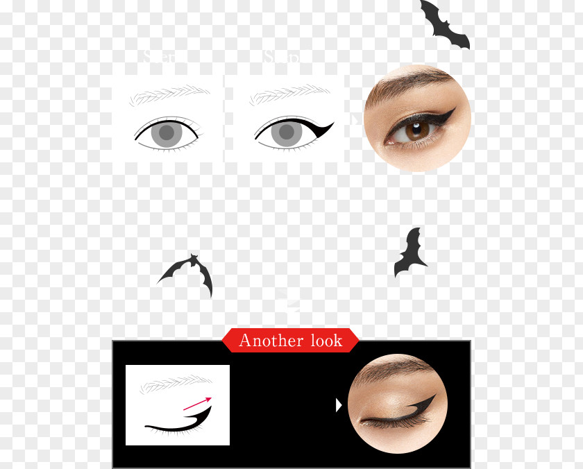 Nose Eyelash Extensions Eye Liner Shadow Eyebrow PNG