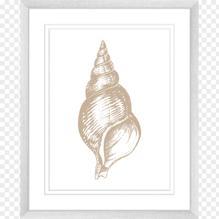 Seashell Art House Wall Drawing PNG