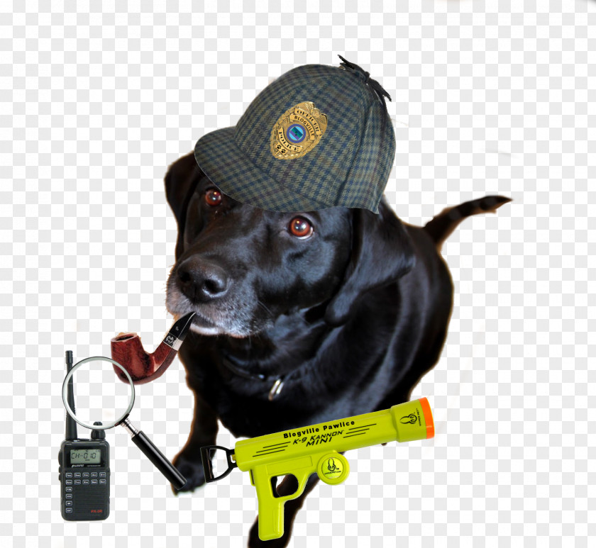 Sherlock Pipe Dog Breed Vizsla Leash Collar PNG