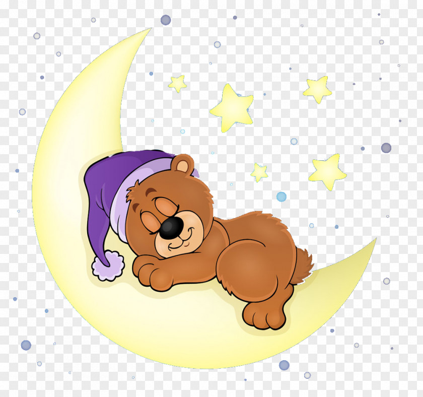 Sleeping Bear Sleep Illustration PNG