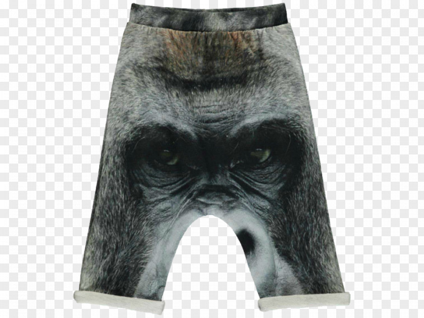 Dress Pants Hoodie Clothing Shorts Sagging PNG