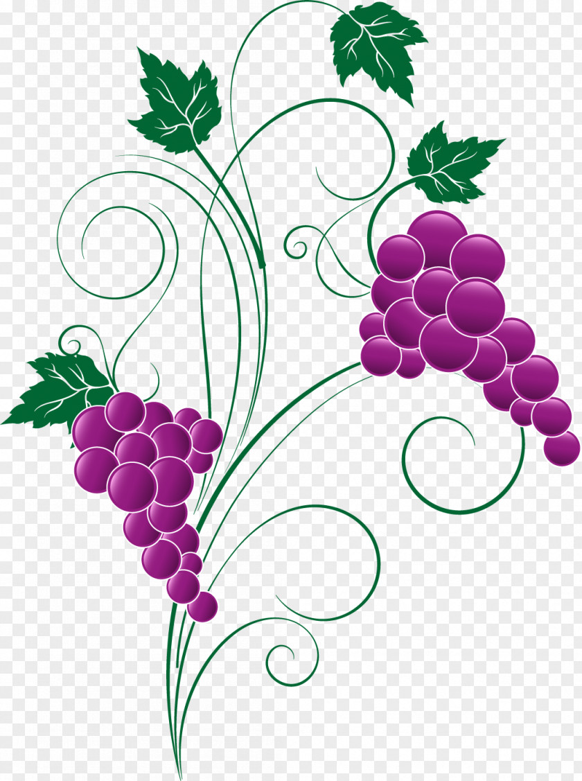 Grape Grapevines Food Leaves PNG