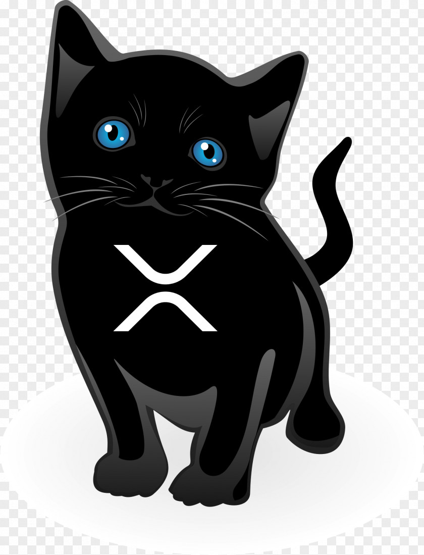 Kitten Clip Art Black Cat American Curl Sphynx PNG