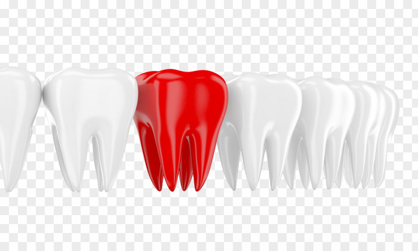 White And Red Teeth Tooth Dentistry Mouth PNG
