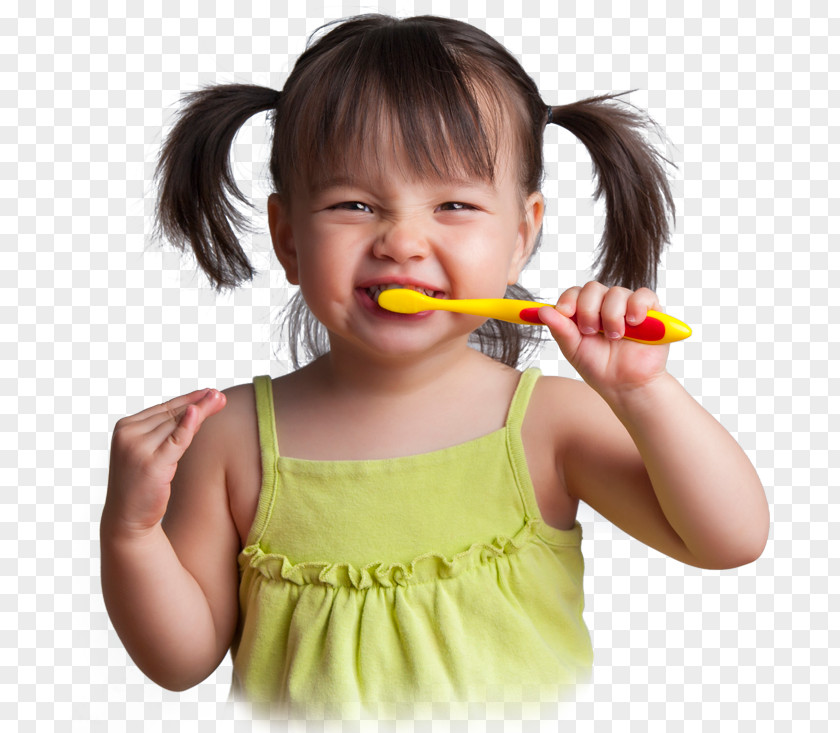 Child Tooth Brushing Pediatric Dentistry Human PNG