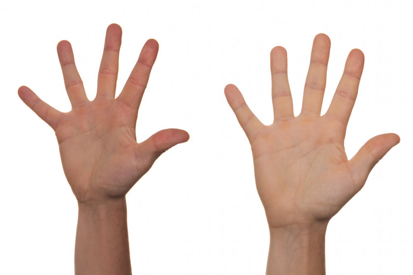 Fingers Handshake Finger Arm PNG